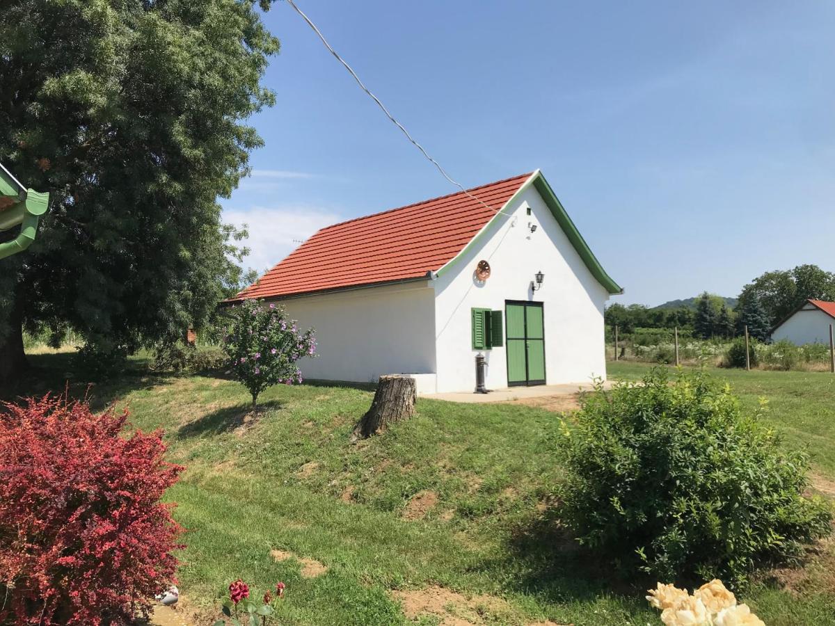 Joe Bácsi Rezidenciája Apartamento Kisharsány Exterior foto